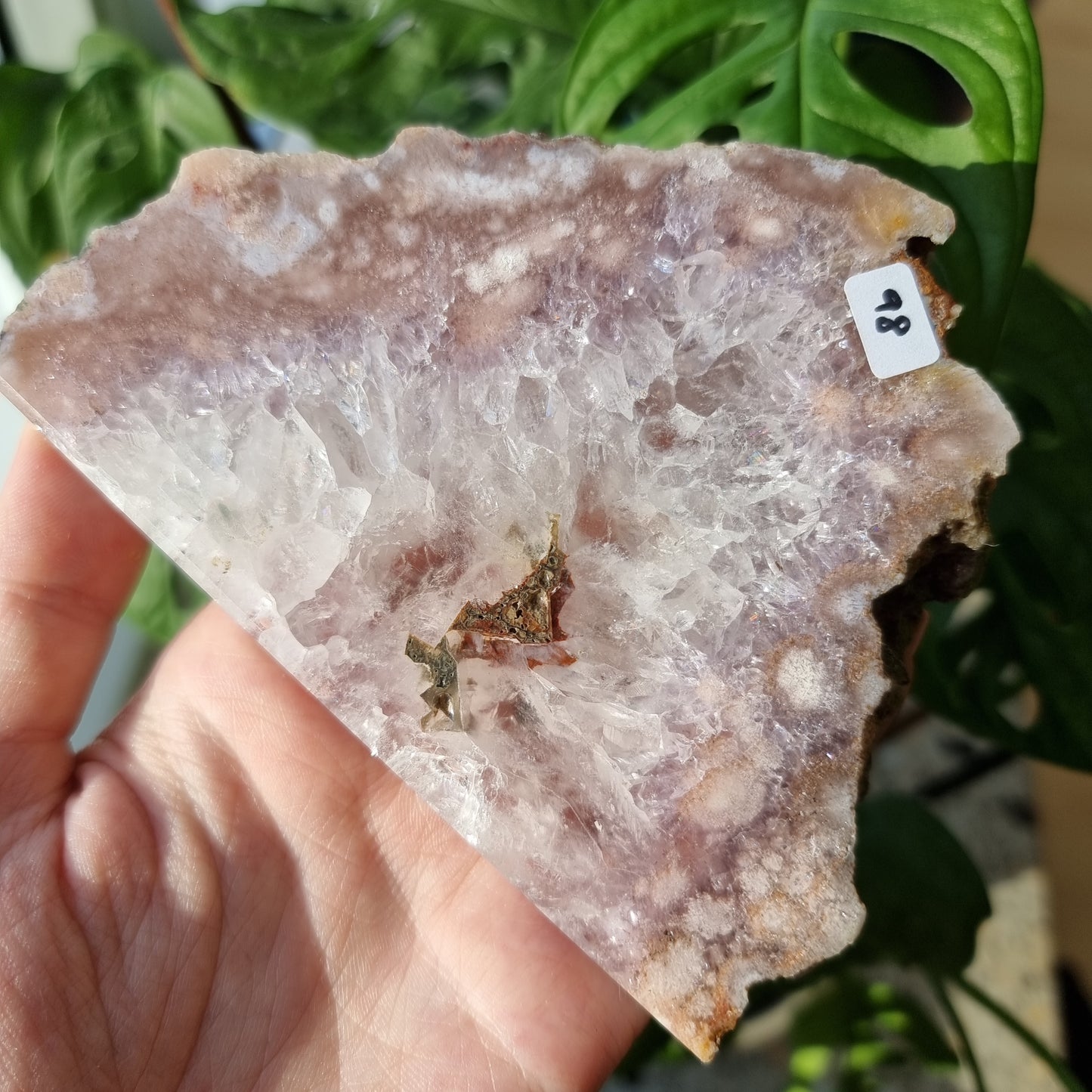 Flower Agate x Amethyst Slab #98A