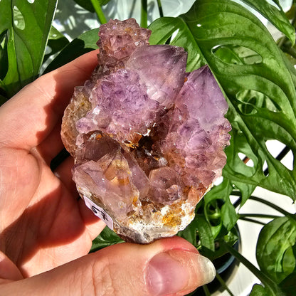 Spirit Quartz #57F