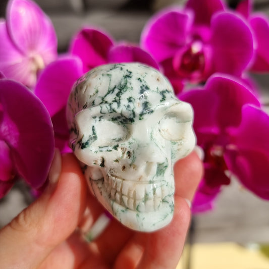 Tree Agate Skull